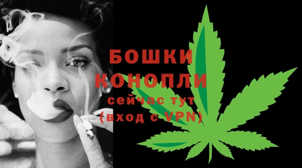 амф Осинники