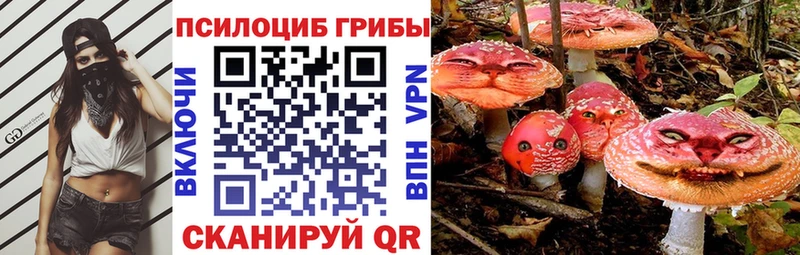 купить   Остров  Псилоцибиновые грибы Psilocybe 
